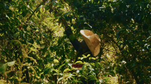 Preview image 2