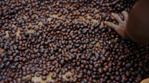 Preview image 1