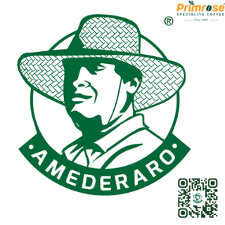 AMEDERARO 8