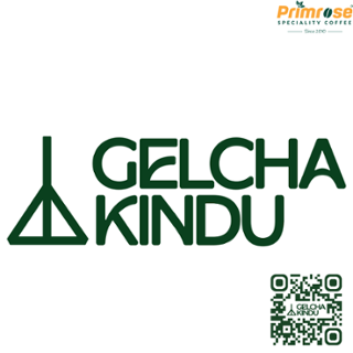 GALCHA 3
